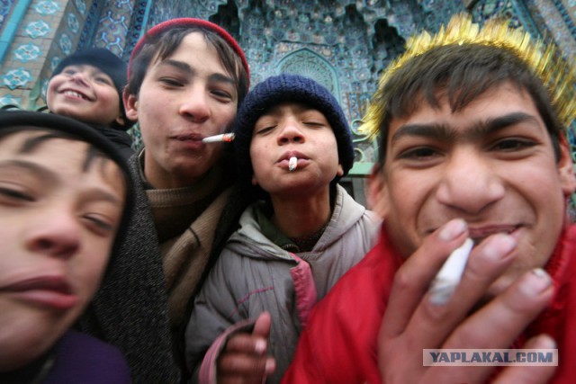 Румыны под Сталинградом