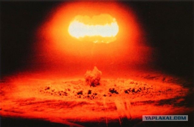 Блохи под Алексином