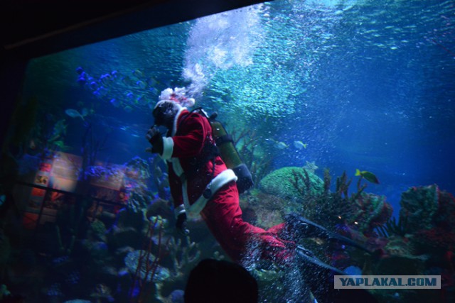 Хочу в Питер!