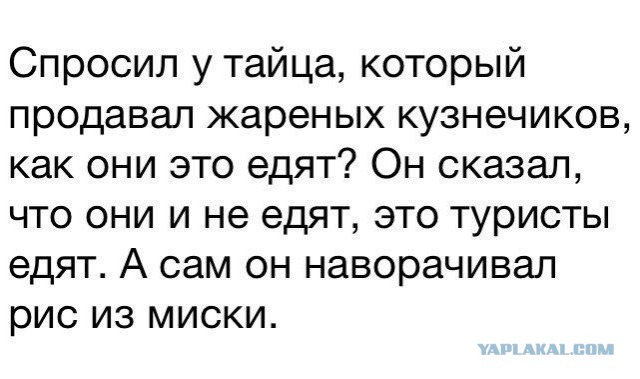 Юмор, который оценят многие 