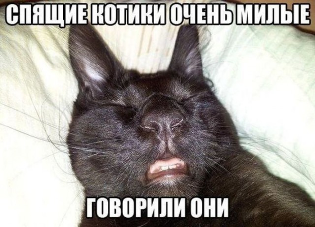 Журнал деградант