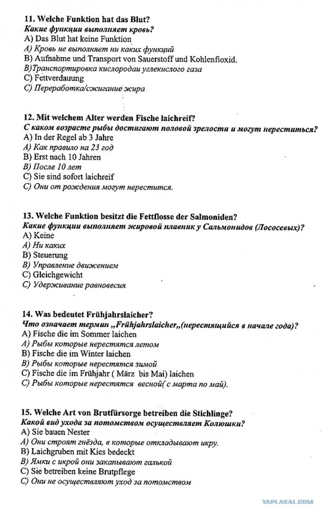 Как мы с Генрихом ловили рыбу