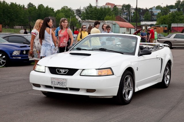 ДР mustang club