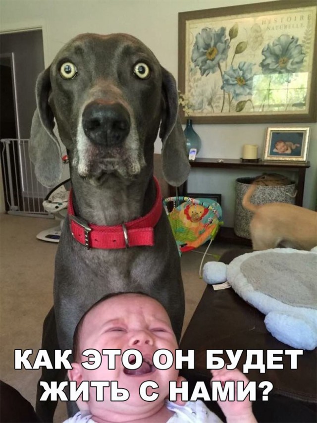 Нестандартный юмор