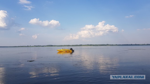 Вылазка за Хышником