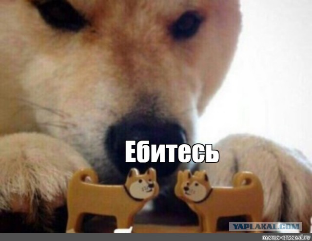 Бросил жену и стал счастливым