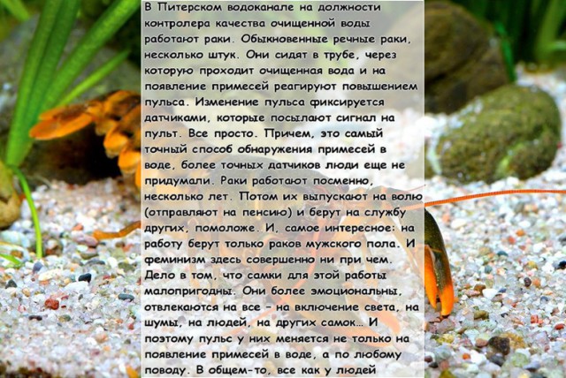 Рука руку моет