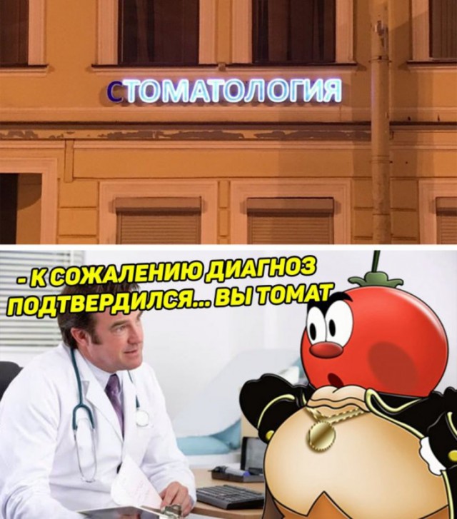 Куда катится жизнь