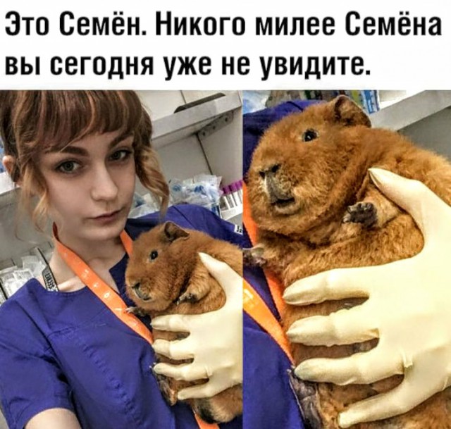 Анекдоты, истории и картинки с надписями