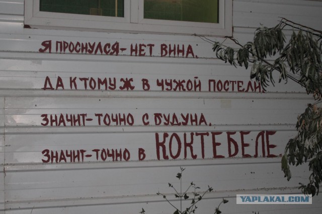 ЯП вокруг света. Германия, Австралия, Китай...