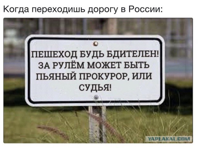 «Единая Россия» выступила против запрета для судей и прокуроров водить автомобиль после употребления крепких напитков