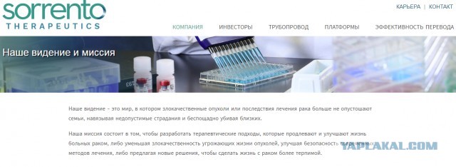 В США заявили о полностью блокирующем коронавирус антителе