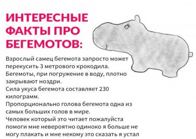 Юмор в картинках 8.10.20