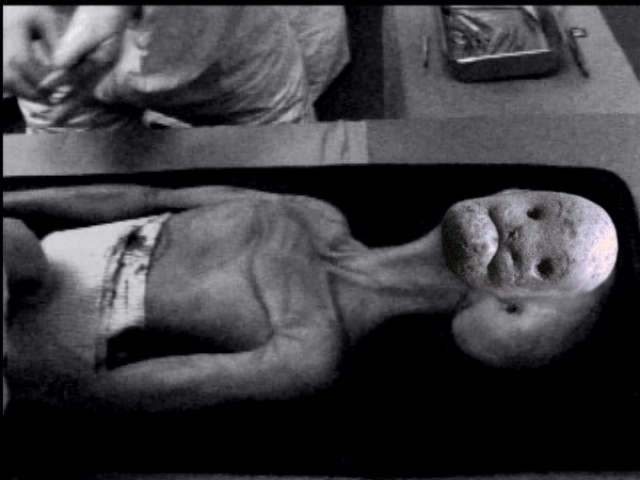 Фотожаба: И все таки они точно среди нас
