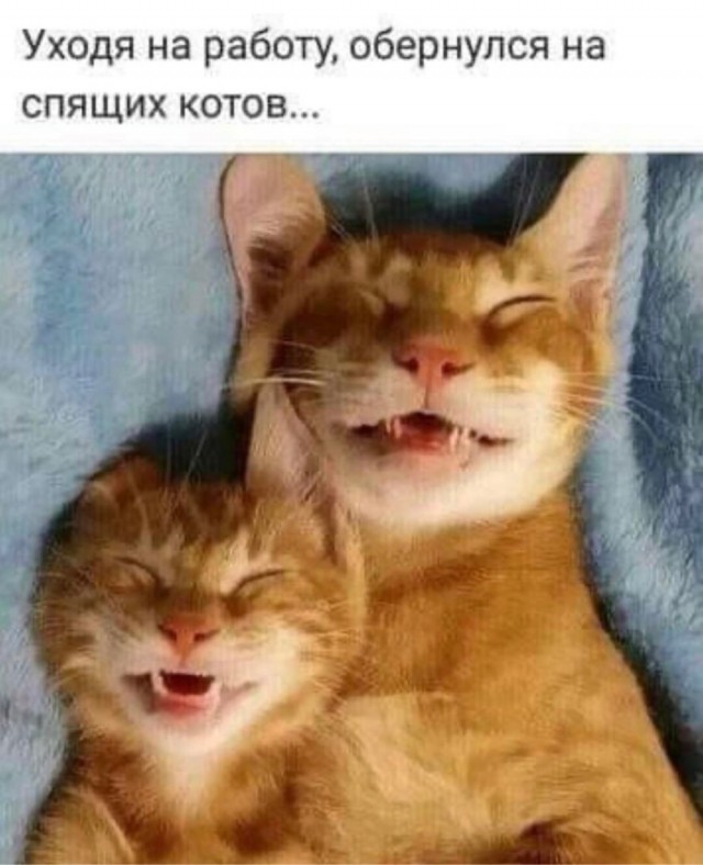 Картинки разнообразные. На злобу дня и на доброту (05.10)