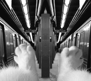 Бесконечный поезд