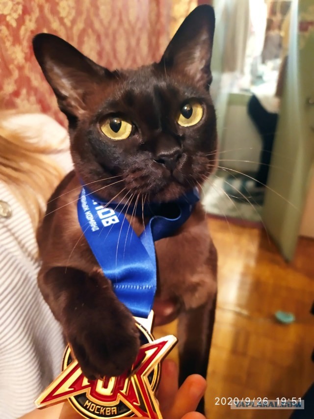 Моя красотка