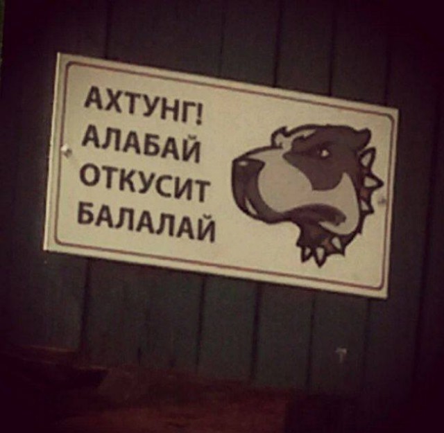 Картинки с надписями и всякие жизненные фразы