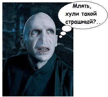 Ярость Волан-де-Морта