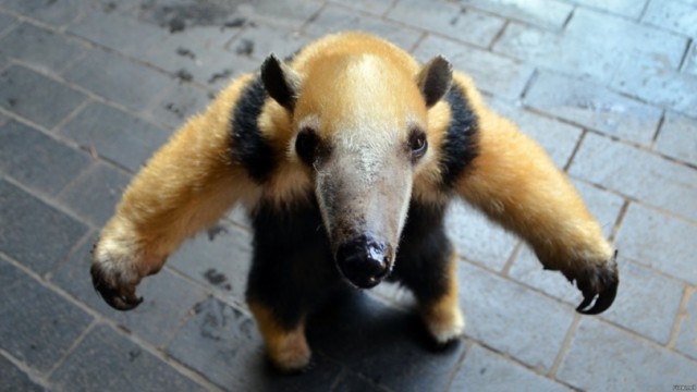 Картинки красивые и разные 24.1.21