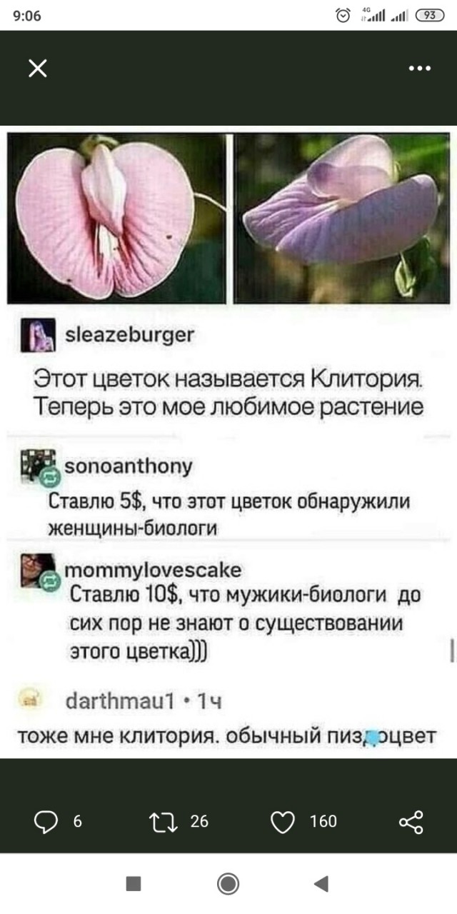 Бредзона 31.01.21