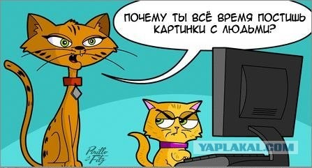 Вопрос от КПМ