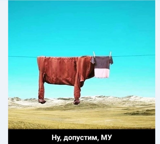 Картинки и мемы для настроения 018