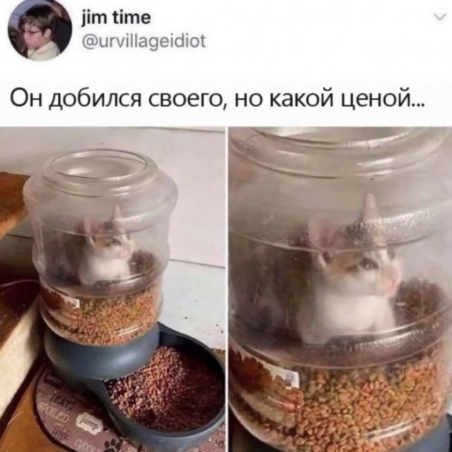 Картинки и мемы для настроения 01.06.2021