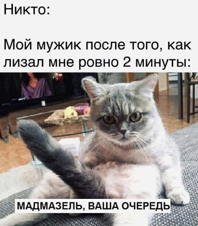 Пятница. И немного слегка пошлых картинок с надписями и без 16+ (20.08))