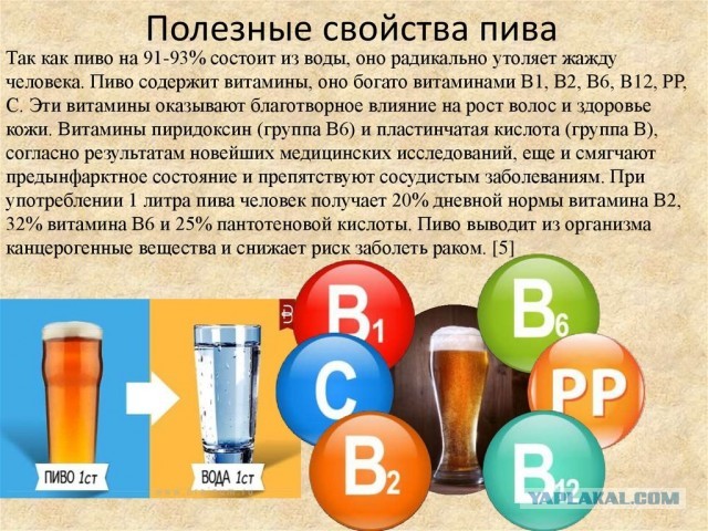 Британский директор похоронного бюро рассказывает правду