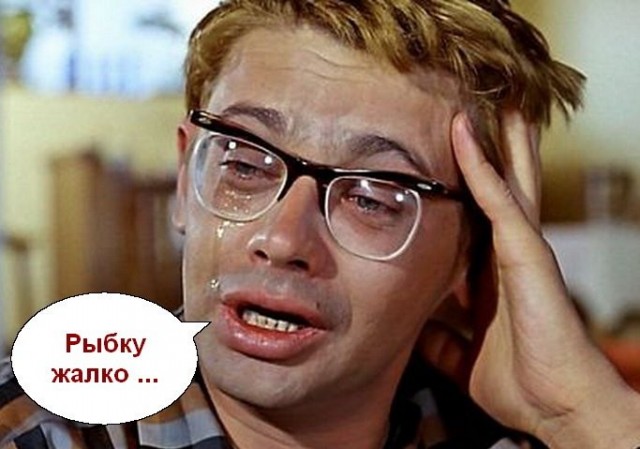 Пока одни ноют, другие берут и делают
