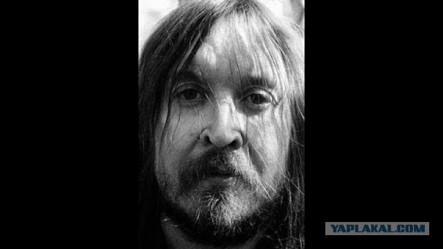 Правильные вожатые
