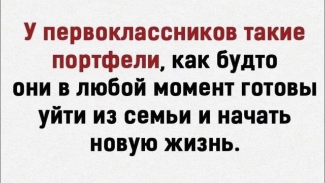 Всяческие картинки 19.11.2021