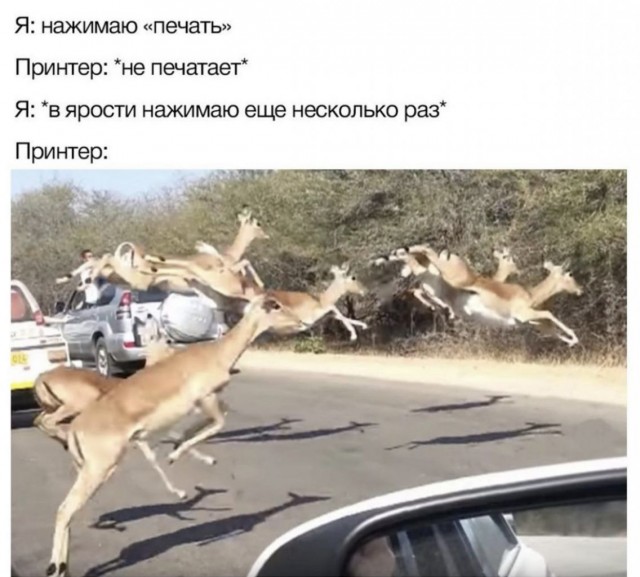 Баянисто-небаянистый юмор 2.02.22