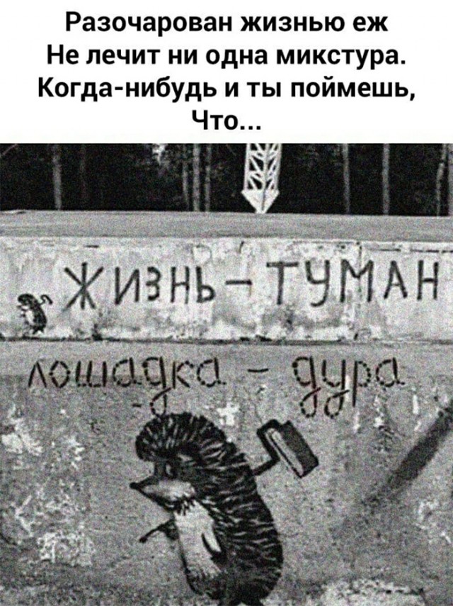 Так себе картинки 20.03.22