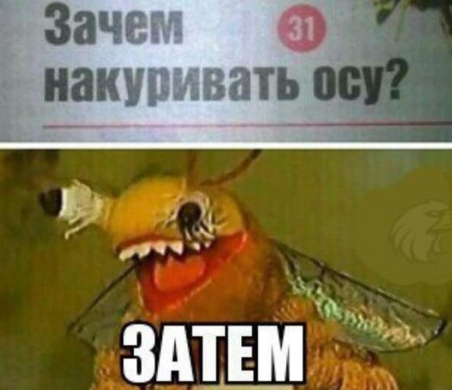 Как в советское время умудрялись варить сосиски без воды