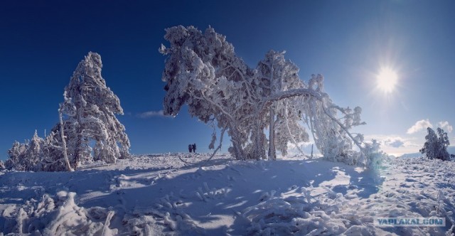 Зимний Крым