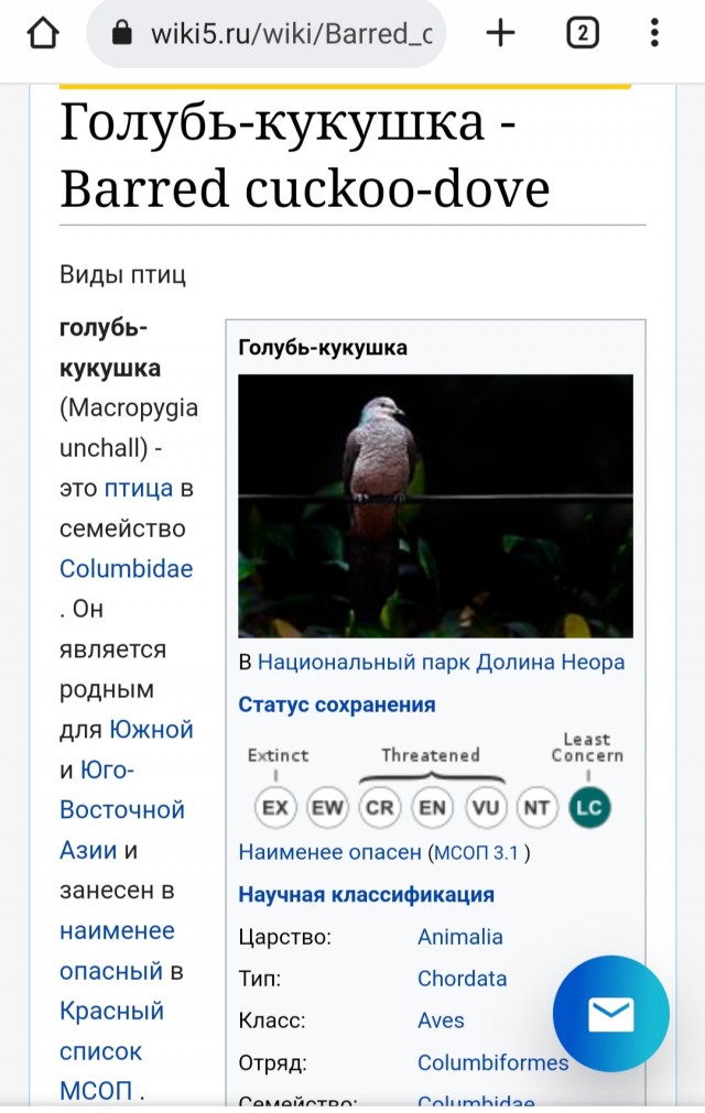 Женская сущность