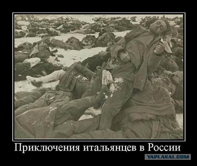 В России создали узбекский батальон для спецоперации на Украине.