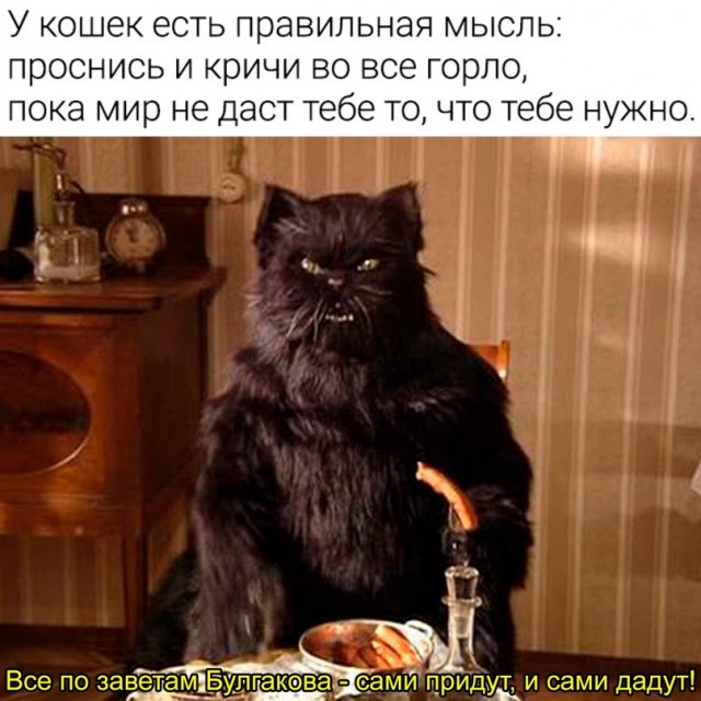 Картинки и мемы. Выходные близко...