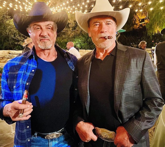 Пара старых друзей