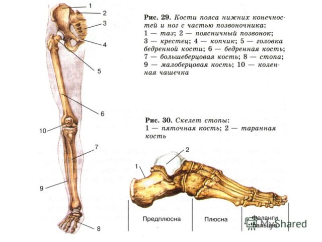 Дисней продолжает пробивать дно толерантности.