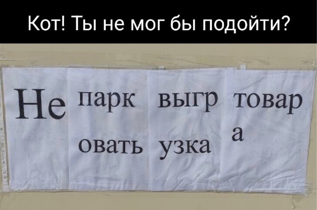 Весёлый полтишок 10.11.22