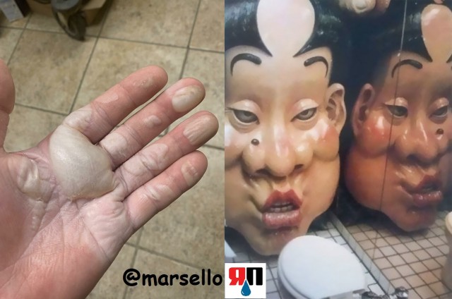 Подборка фотографий, некоторые из них заставят вас сморщиться от неприязни