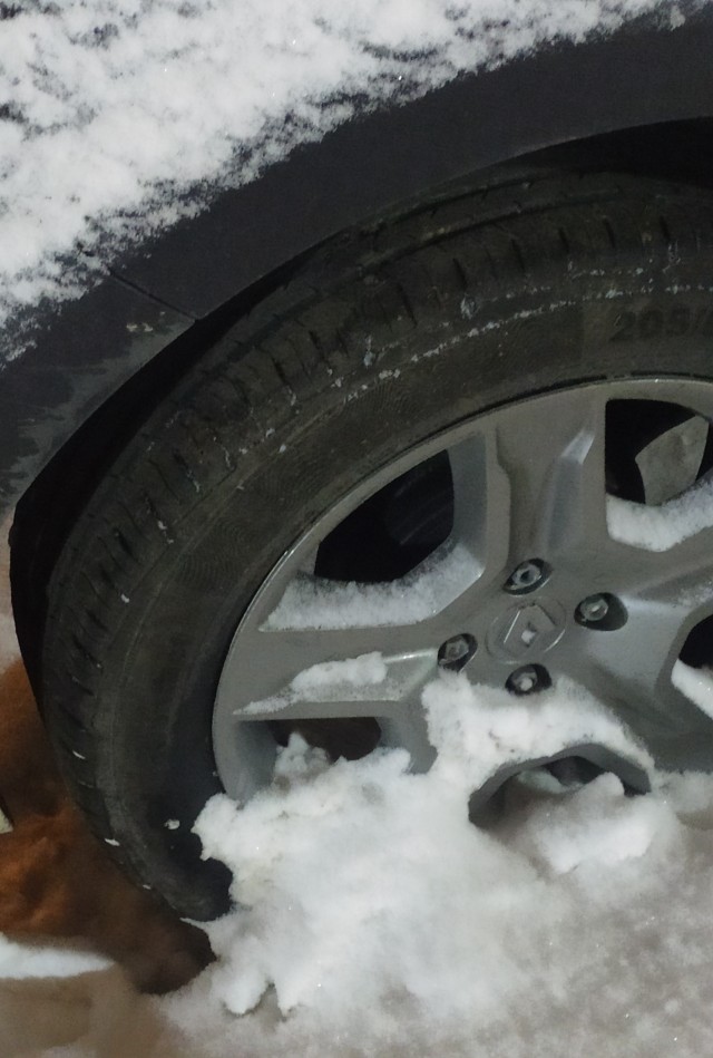Зима в Санкт-Петербург опять пришла внезапно