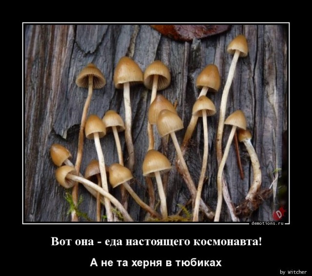 Прикольные и просто красивые картинки 23.12.2022
