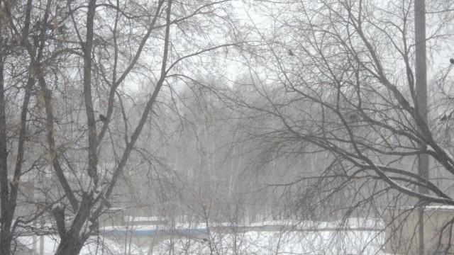 23 марта. Киев. Весна.