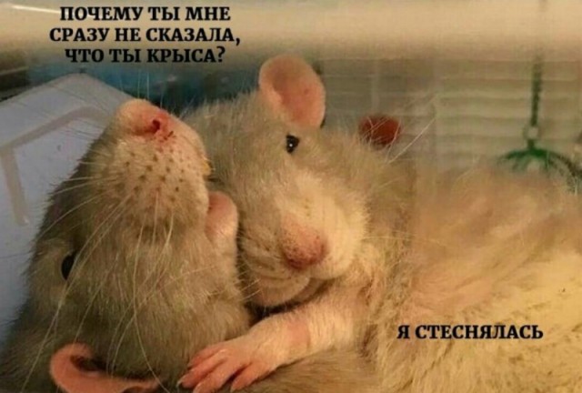 Бессистемная подборка 3