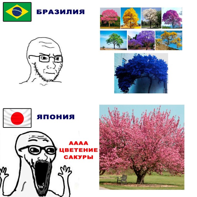 Картинки и мемы для настроения - 137