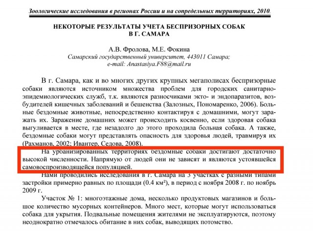 Регионам разрешили усыплять бездомных собак